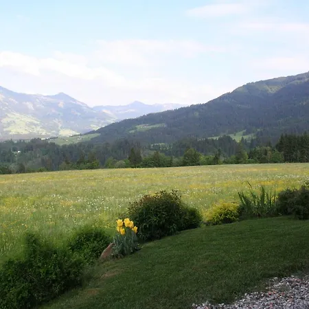 Appartement Maria 1 Hopfgarten im Brixental