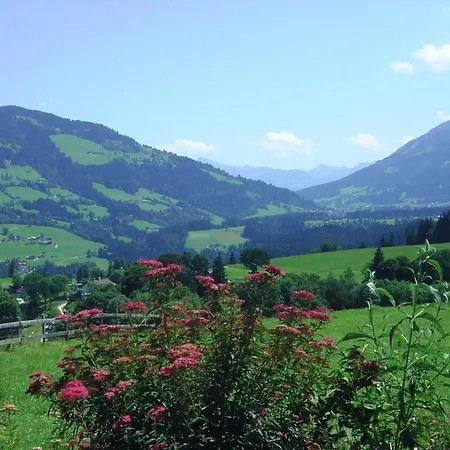 Maria 1 Appartement Hopfgarten im Brixental